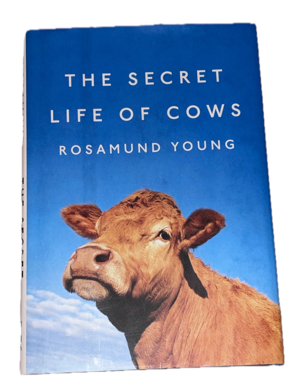 The Secret Life of Cows Hardcover Book - Blue
